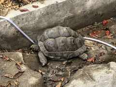 -广州白江湖森林公园