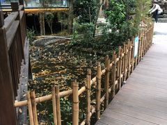 -二荆条·蜀鲜汇城市森林火锅