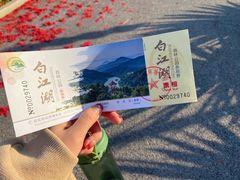 -广州白江湖森林公园