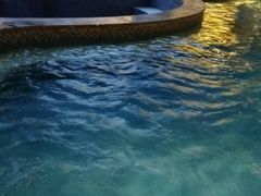 -东方雅典水疗美食汇(金海岸大厦店)