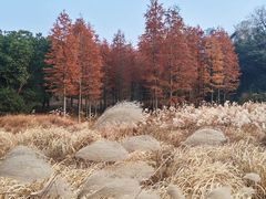 -池州市平天湖风景区