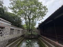 -八大山人梅湖景区