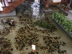 -桃苑居阳澄湖·蟹千恩(美人腿店)