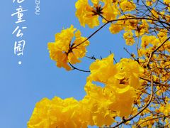-天河儿童公园