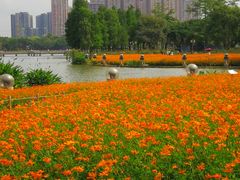 -顺峰山公园