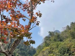 -小七孔景区-六十八级跌水瀑布