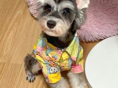 -小尾巴宠物店(万科·金域华庭店)