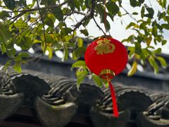 -上海醉白池公园
