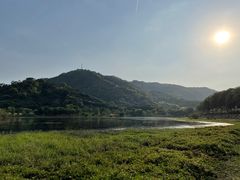 -风云岭森林公园