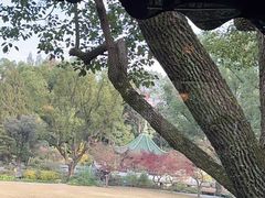 -申粤轩酒楼·三十年粤菜经典(丁香花园店)