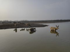 -宁波杭州湾国家湿地公园