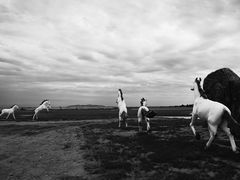 -亿利库布其七星湖沙漠生态旅游区