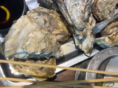 -西部一串烧烤·地道湘西小串