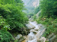 -青峰峡国家森林公园