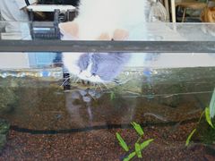 -平行世界·猫咖(首经贸店)