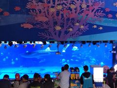 -烟台海昌鲸鲨海洋公园