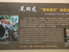 -辽宁古生物博物馆