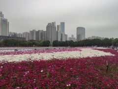 -海心沙亚运公园