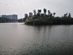 -东岳体育公园