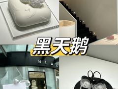 -黑天鹅蛋糕店(青年大街店)