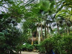 -南山植物园