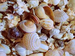 -东戴河风景区-止锚湾