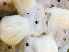 虾饺-莅香岛港式餐厅(滨江道店)