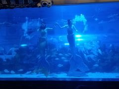 -成都浩海立方海洋公园