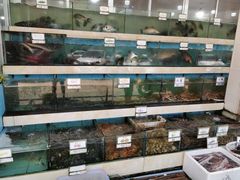 水产区-秋姐美食店(旅游大道店)