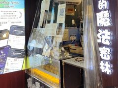 -猫的魔法密林(衣裳街店)