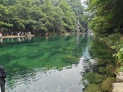 -石台牯牛降景区