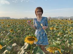-光明小镇欢乐田园