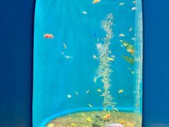 -欢乐海岸海洋奇梦馆