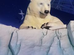 -海合安青岛极地海洋公园