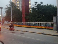 -咸阳湖景区-古渡公园