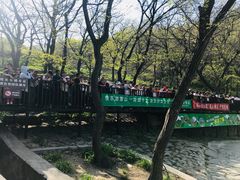 -沂蒙山旅游区云蒙景区(蒙山国家森林公园)