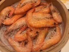 -马哥孛罗咖啡厅·Cafe Marco (厦门马哥孛罗东方大酒店)