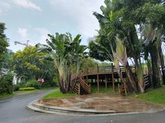 -深圳国际园林花卉博览园