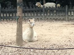-南昌动物园