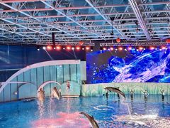 -海合安青岛极地海洋公园