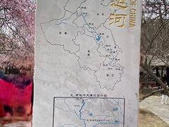 -桃花堤公园