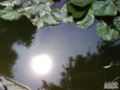 -紫竹院公园冰场