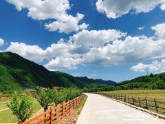 -黑河国家森林公园