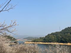 -广州市流溪河国家森林公园