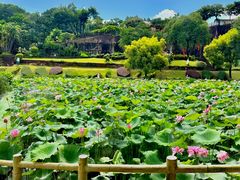 -广州莲花山旅游区