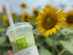 霸气牛油果生椰斑斓-奈雪的茶(花城汇中区PRO店)