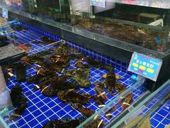 -宝轩渔府·老字号海鲜·正宗津菜(水上店)