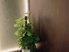-聚宾楼·烤鸭·家宴(科技三路店)