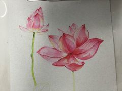 -八哥美术·成人美术画室(总校区)