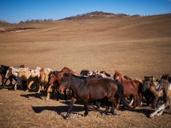 -塞罕坝国家级自然保护区